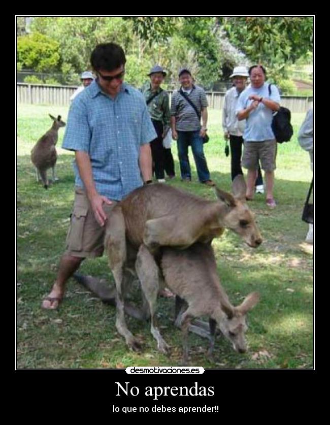 carteles tonterias desmotivaciones