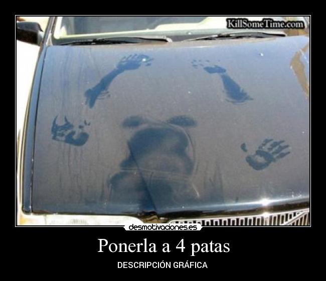 Ponerla a 4 patas - 