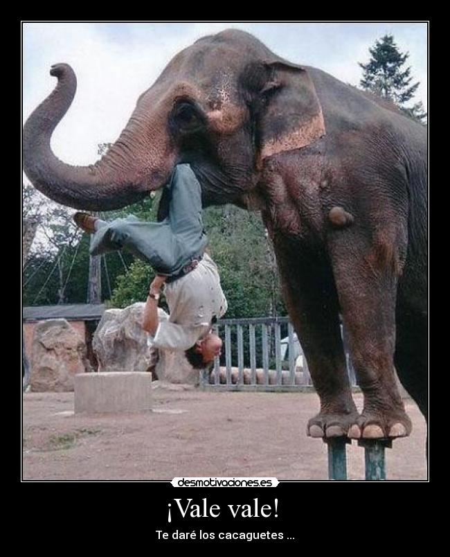 carteles jajaja desmotivaciones