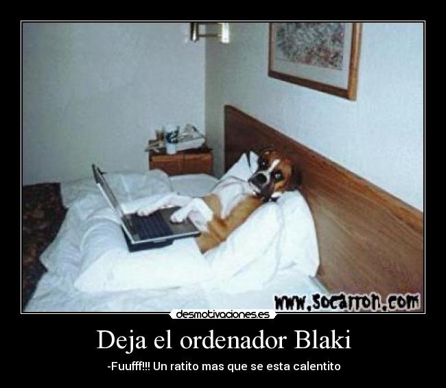 Deja el ordenador Blaki - 