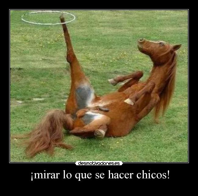 ¡mirar lo que se hacer chicos! -