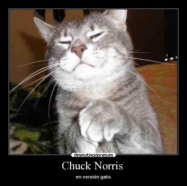 Chuck Norris  - 