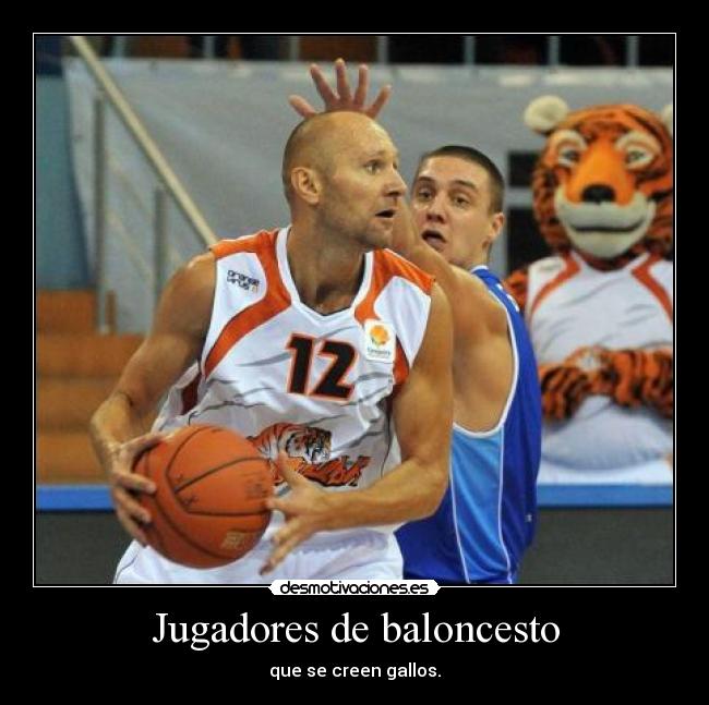 Jugadores de baloncesto - que se creen gallos.