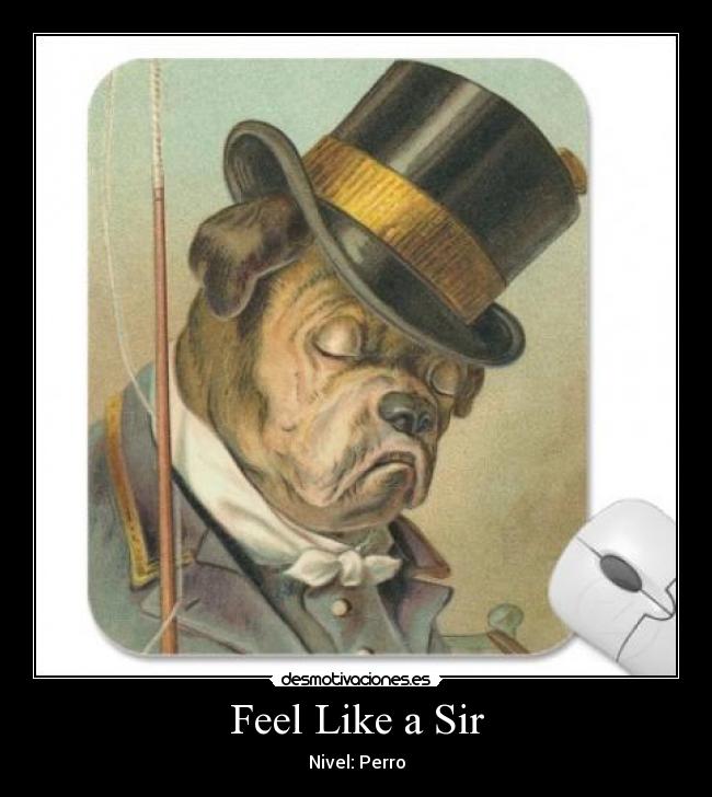 Feel Like a Sir -