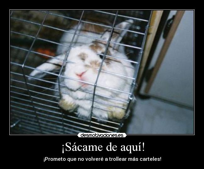¡Sácame de aquí! - 