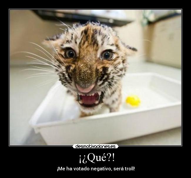¡¿Qué?! - 