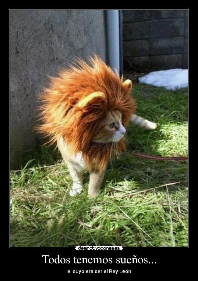 Todos tenemos sueños... - el suyo era ser el Rey León