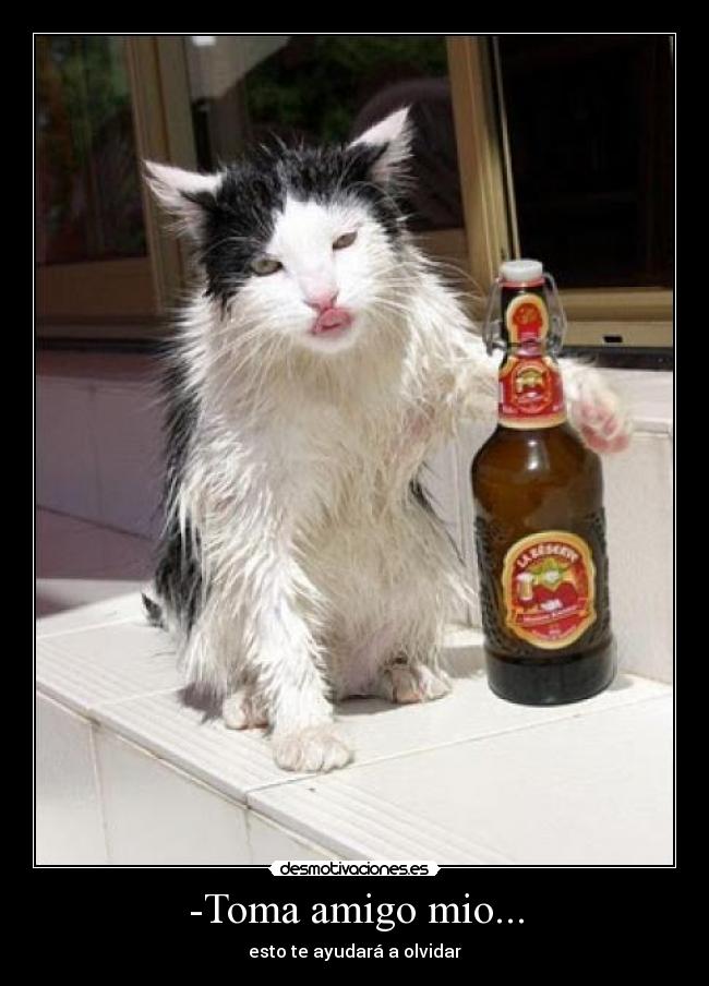 -Toma amigo mio... - 