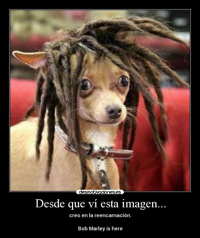 Desde que ví esta imagen... - 