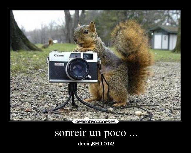sonreir un poco ... - decir ¡BELLOTA!