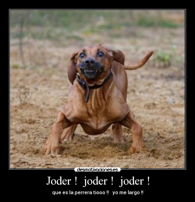 carteles tr3ghs desmotivaciones