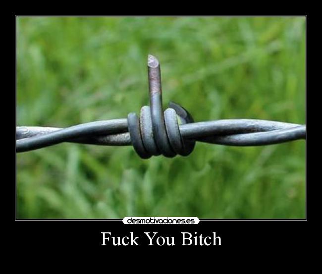 Fuck You Bitch -