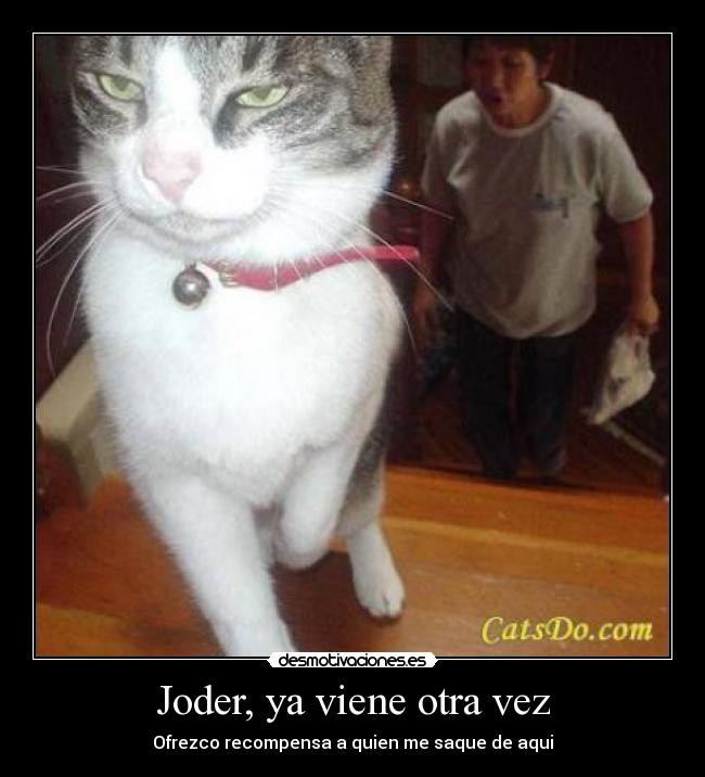 Joder, ya viene otra vez - Ofrezco recompensa a quien me saque de aqui