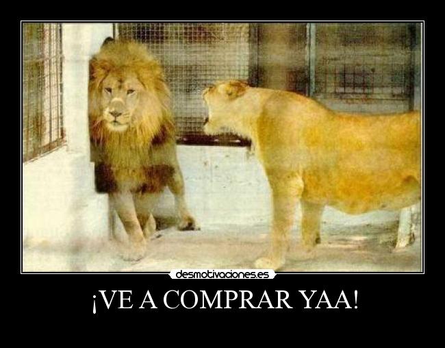 ¡VE A COMPRAR YAA! -