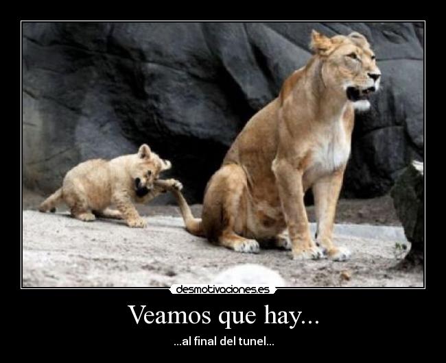 Veamos que hay... - ...al final del tunel...