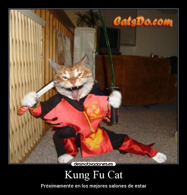 Kung Fu Cat - 