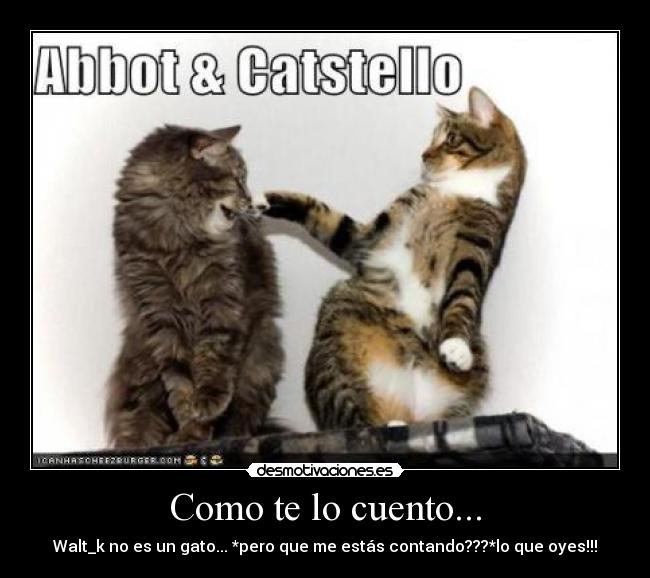 Como te lo cuento... - Walt_k no es un gato... *pero que me estás contando???*lo que oyes!!!