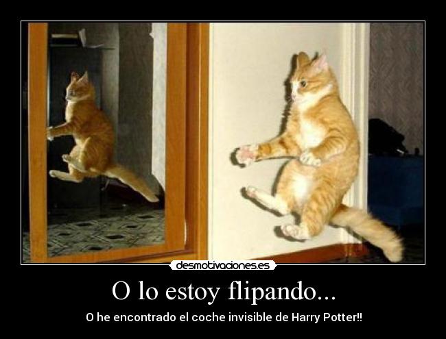 O lo estoy flipando... -