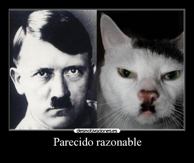 Parecido razonable -