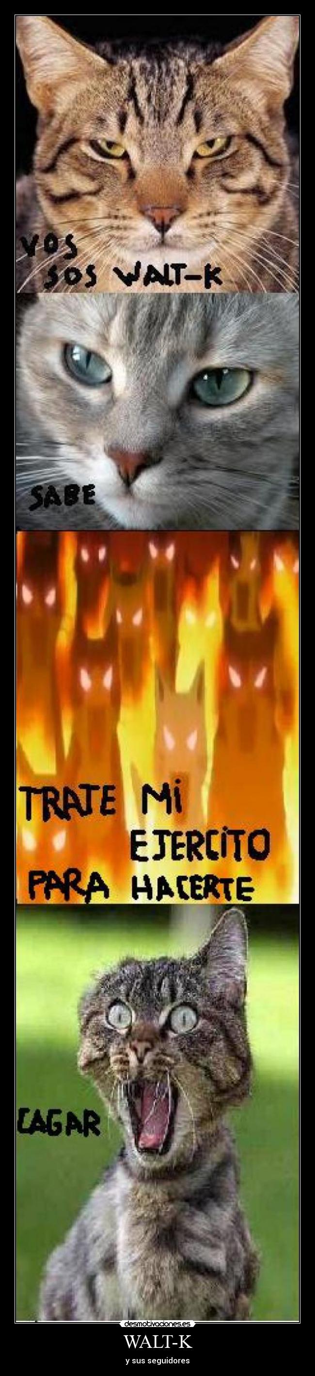 WALT-K - y sus seguidores