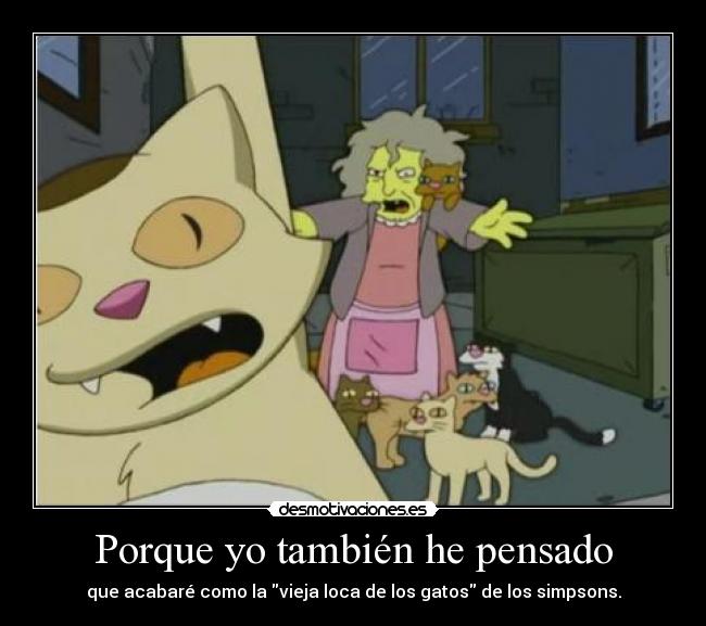 Porque yo también he pensado - que acabaré como la vieja loca de los gatos de los simpsons.