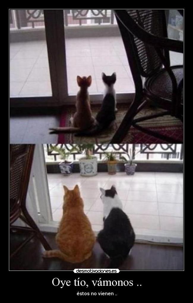 Oye tío, vámonos .. - 