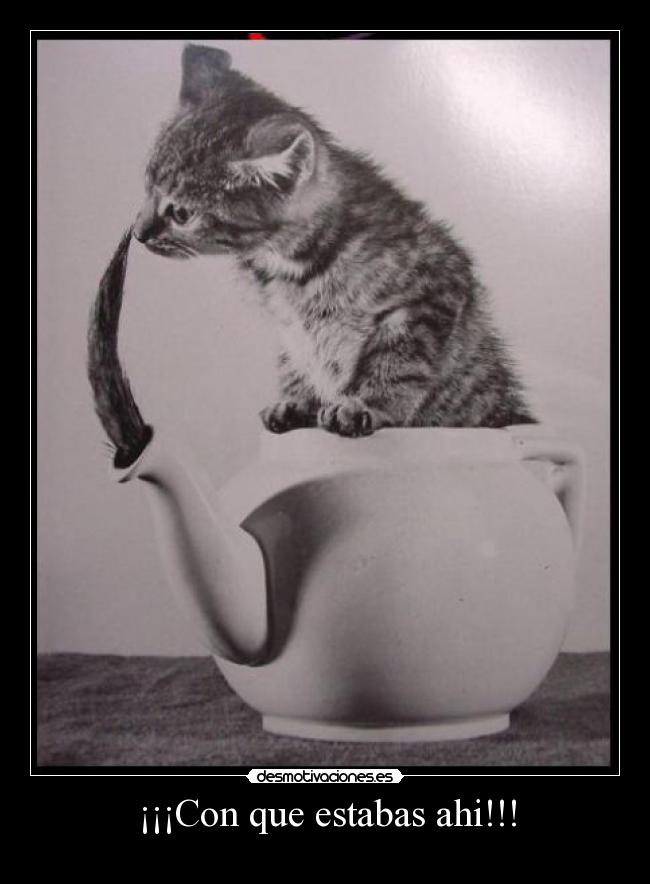 ¡¡¡Con que estabas ahi!!! - 