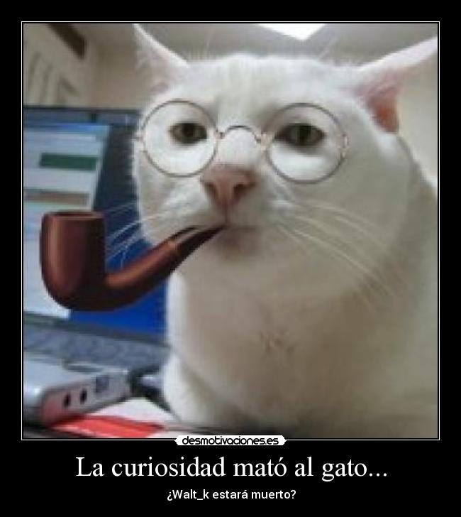 La curiosidad mató al gato... - ¿Walt_k estará muerto?
