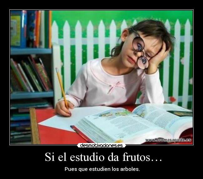Si el estudio da frutos… -