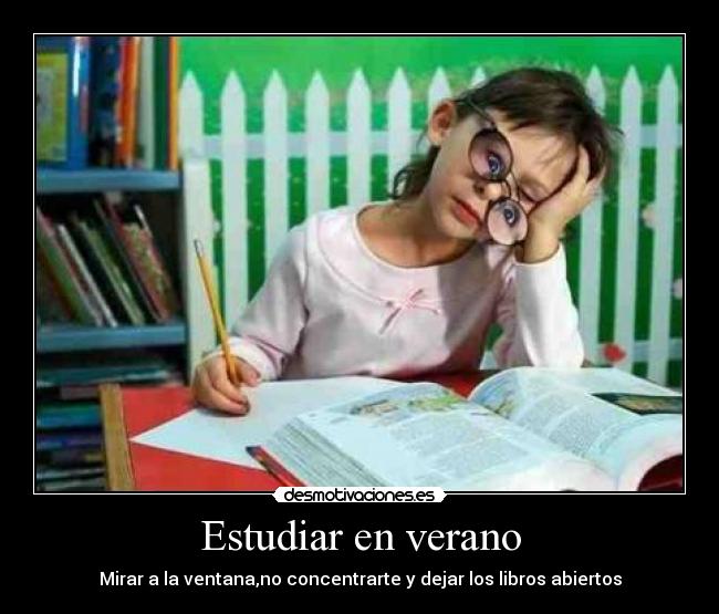 Estudiar en verano - 