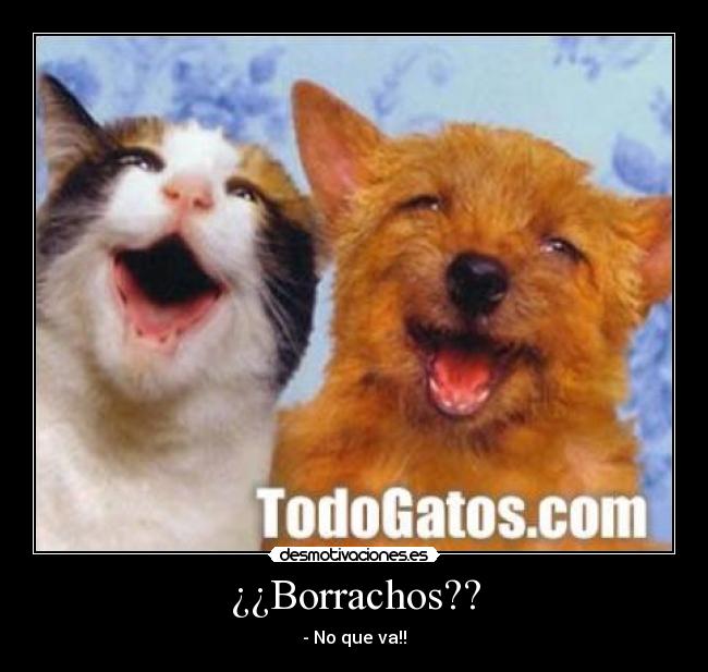 ¿¿Borrachos?? - - No que va!!