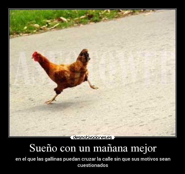 Sueño con un mañana mejor - en el que las gallinas puedan cruzar la calle sin que sus motivos sean cuestionados