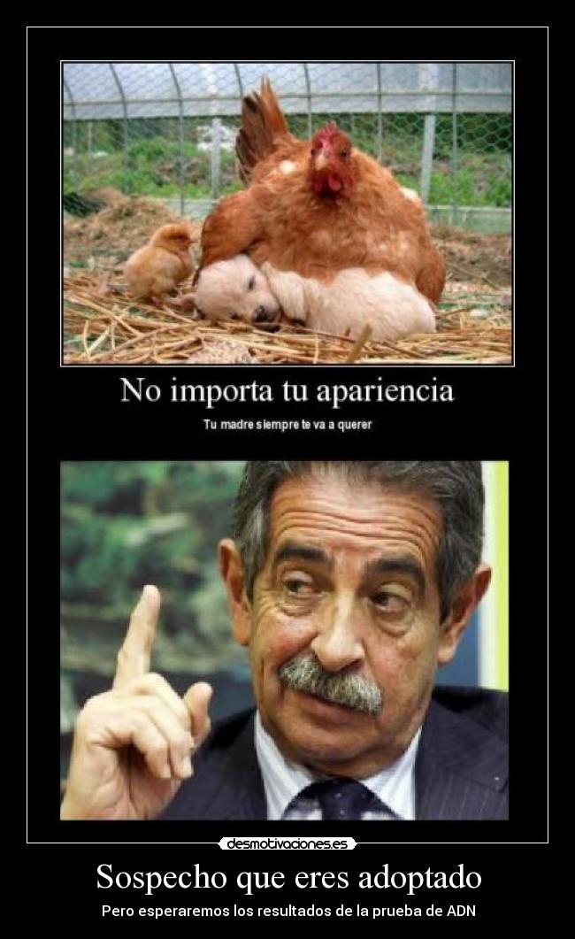 Sospecho que eres adoptado - 