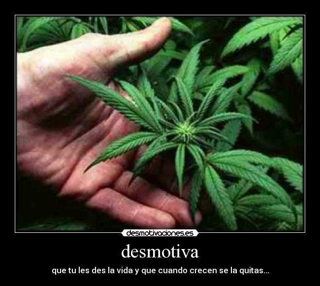 desmotiva -