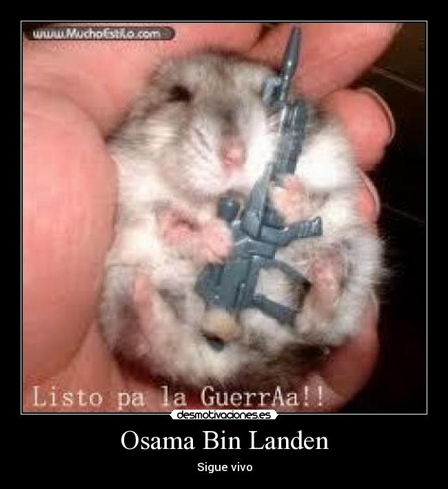Osama Bin Landen -