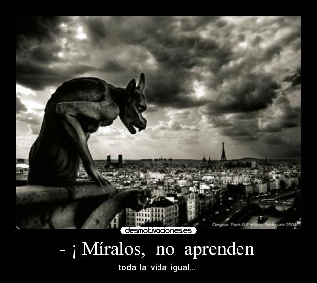 - ¡ Míralos, no aprenden - toda la vida igual... !