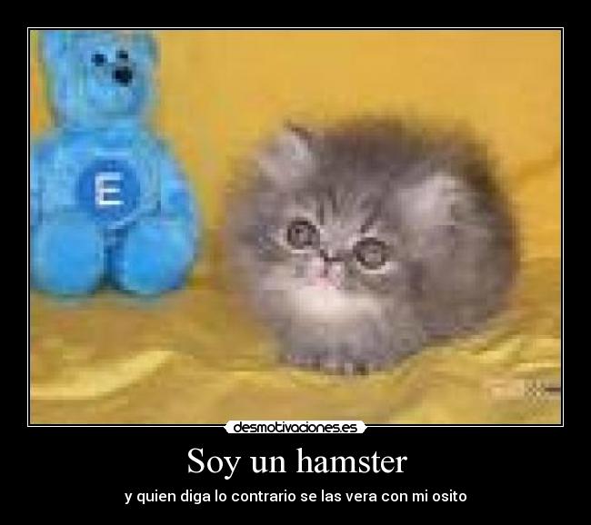 Soy un hamster -