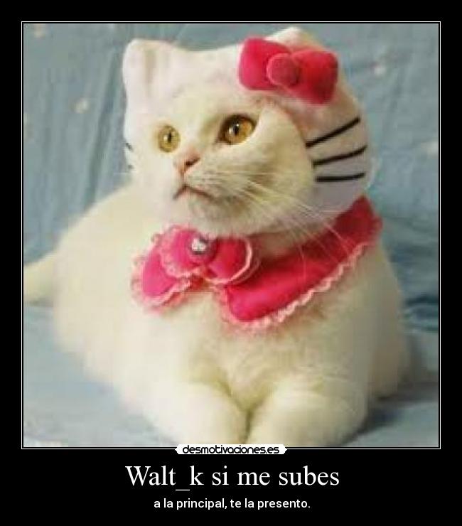 Walt_k si me subes -