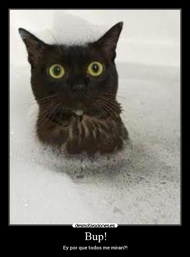 Bup! - Ey por que todos me miran?!