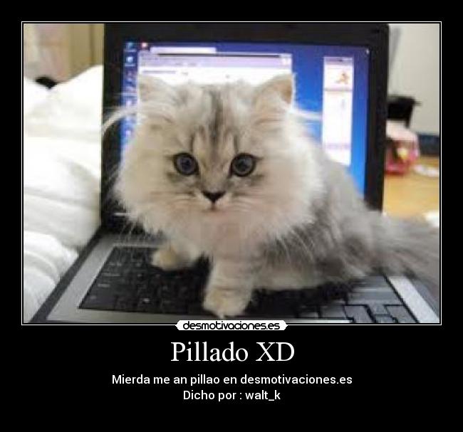 Pillado XD -