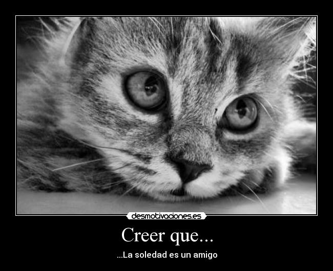 Creer que... - ...La soledad es un amigo