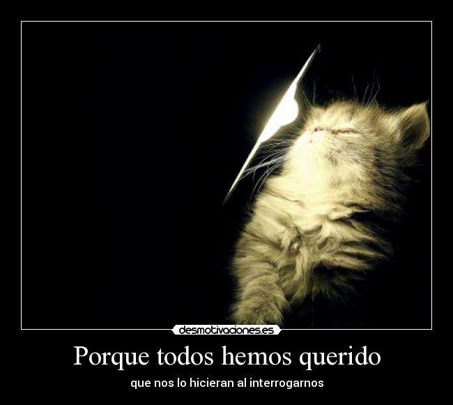 carteles gato desmotivaciones