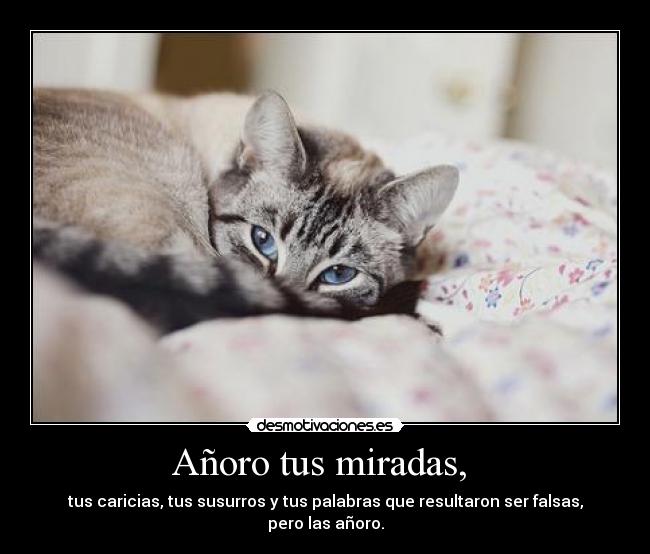 Añoro tus miradas,  - 