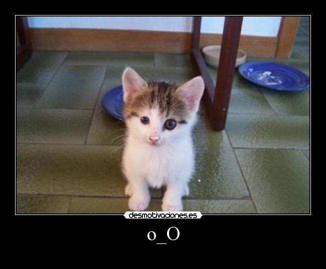 o_O - 