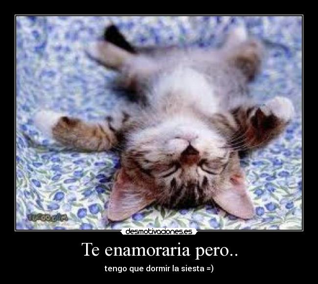 Te enamoraria pero.. - tengo que dormir la siesta =)