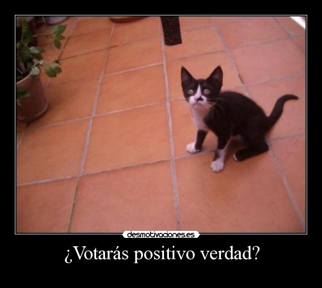 ¿Votarás positivo verdad? -