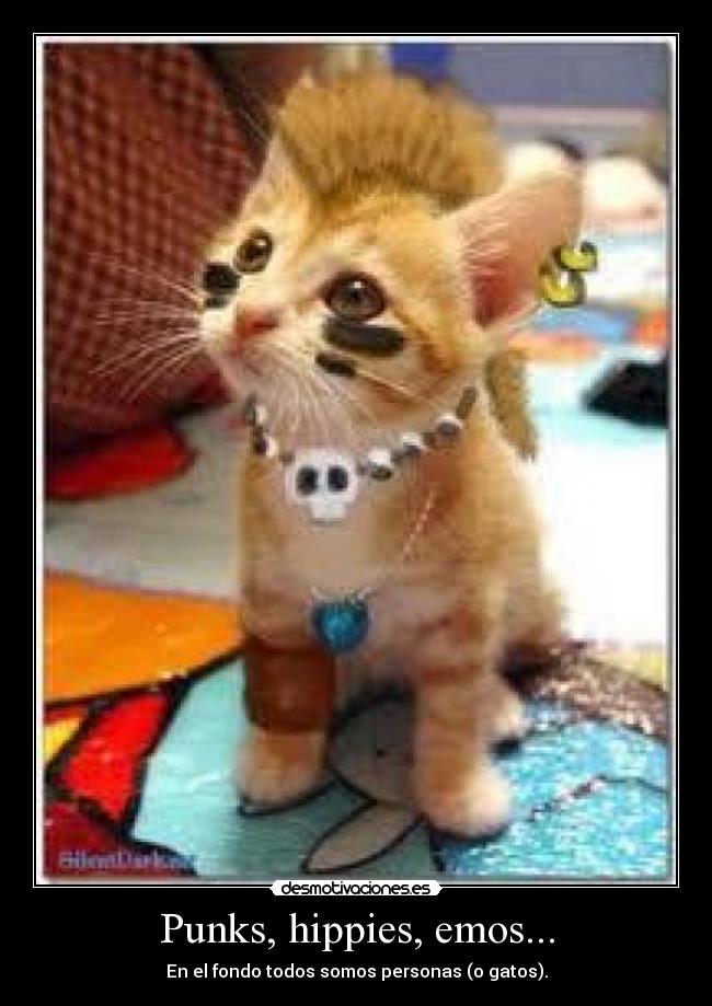 Punks, hippies, emos... -