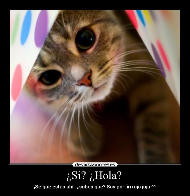 ¿Si? ¿Hola?  - 