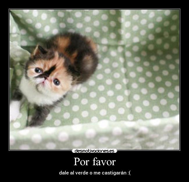Por favor - 