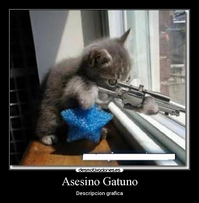 Asesino Gatuno -